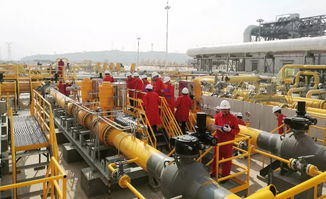 這家閥門公司兩套調(diào)壓裝置關(guān)鍵閥門成功通過(guò)中油管道公司現(xiàn)場(chǎng)工業(yè)性試驗(yàn)驗(yàn)收