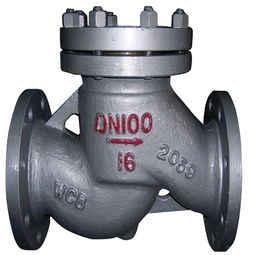 萬眾止回閥：品質(zhì)卓越，守護(hù)管道安全